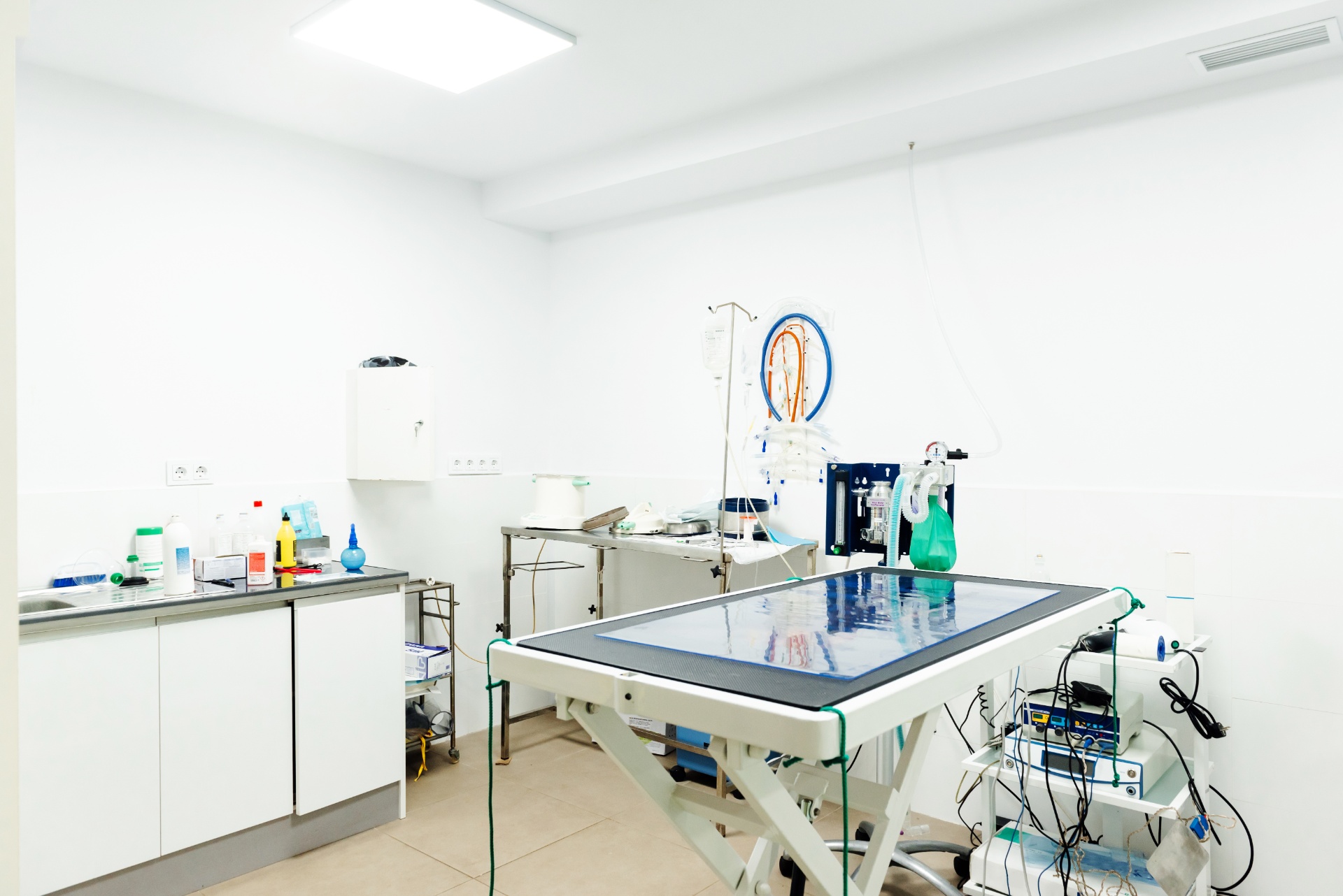 AdobeStock_488605233