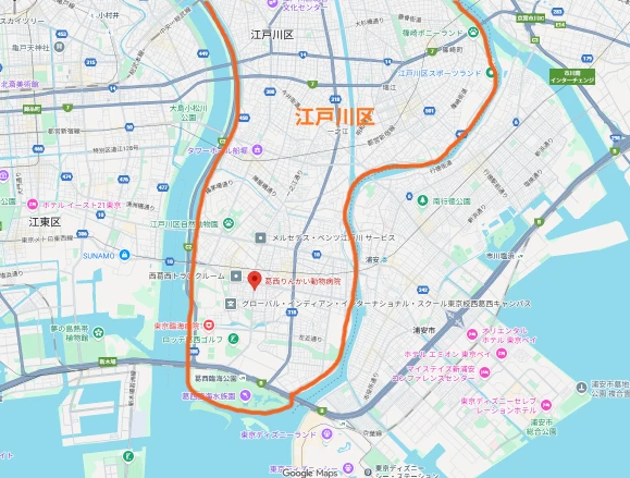 ダウンロード
