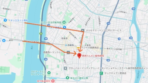 ダウンロード